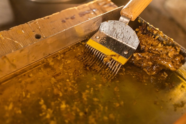 Herramienta para abrir marcos de abejas