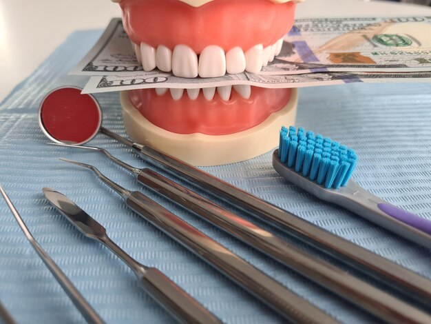 Herramienta dental mandíbula artificial y primer plano de efectivo