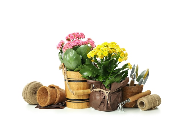 Herramientas y accesorios de jardinería aislado sobre fondo blanco.