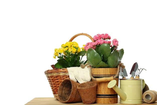 Herramientas y accesorios de jardinería en mesa de madera aislado sobre fondo blanco.