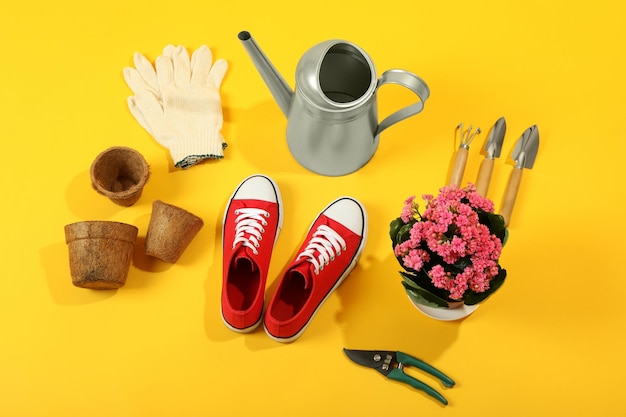 Herramientas y accesorios de jardinería sobre fondo amarillo.