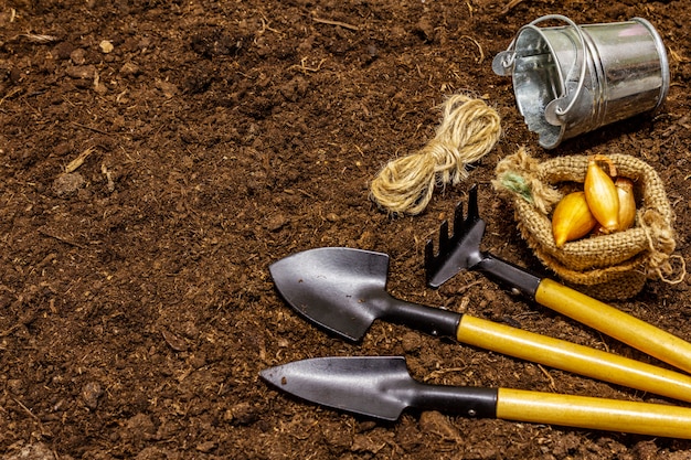 Herramientas de jardín en el fondo del suelo. Concepto de cuidado de plantas. Palas y rastrillo, cubo, hilo, cebolla.