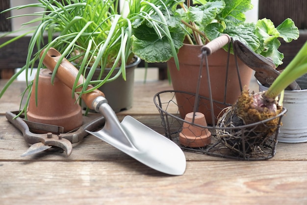 herramientas de jardín con una pequeña pala en una mesa de madera entre la olla de flores y la planta i