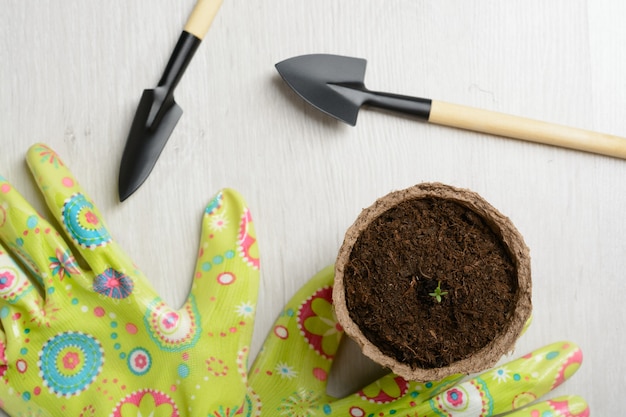 Herramientas de jardín para plantar