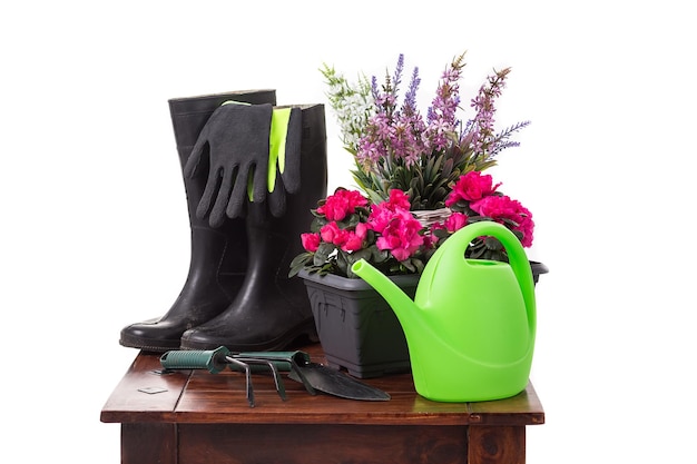 Herramientas de jardinería y flores como regadera botas de goma jarrones macetas guantes aislado sobre fondo blanco.