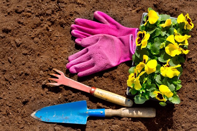 Herramientas de jardinería y flores en el fondo del suelo, vista superior