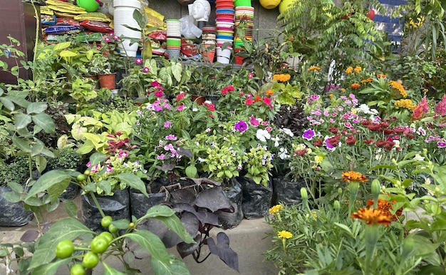 Herramientas de jardinería y flores en la terraza del jardín.