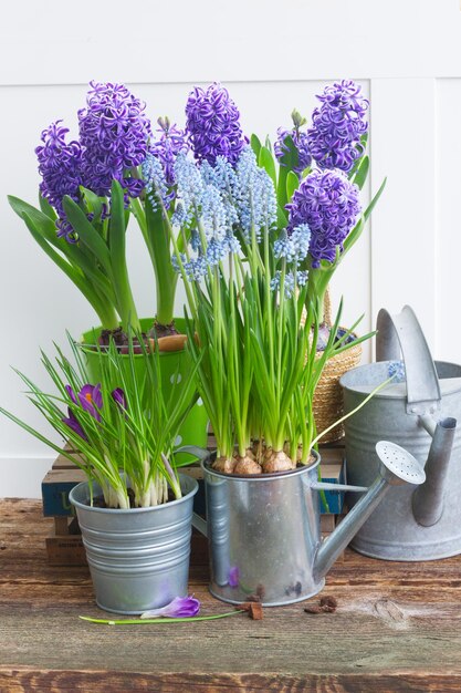 Herramientas de jardinería y flores.