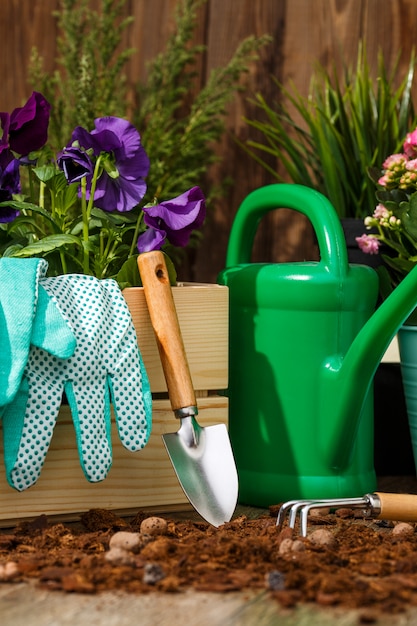 Herramientas de jardinería y flores.