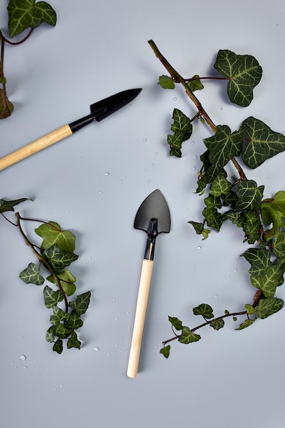 Herramientas de jardinería y hojas verdes sobre fondo gris.