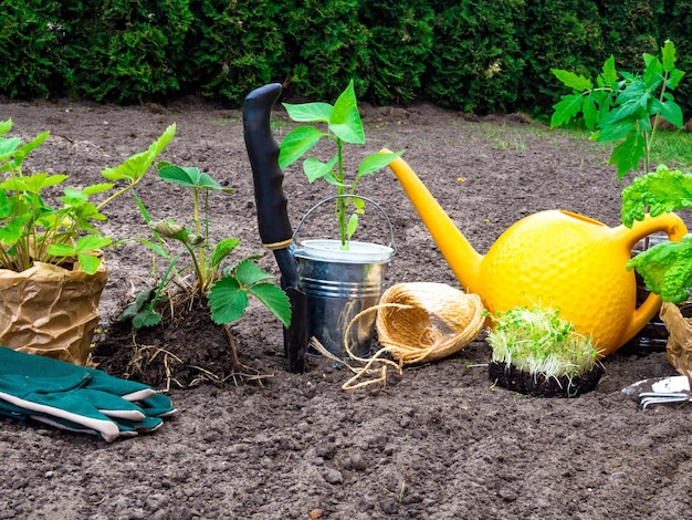 Herramientas de jardinería para jardinería guantes plántulas tomate albahaca pimiento fresa regadera trabajo de jardinería estacional