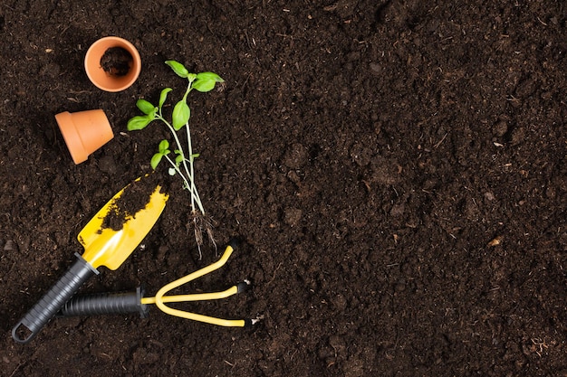 Herramientas de jardinería y plantas en la vista superior del fondo del suelo Pasatiempos de jardinería de primavera