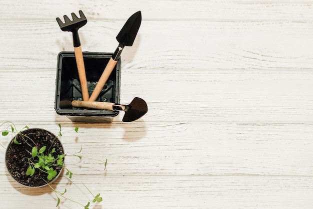 Foto herramientas de mano de jardín una olla con una planta de semillero