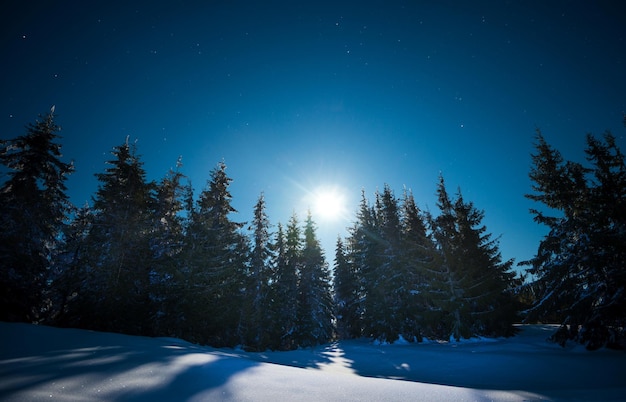 Herrlich schöne Winterlandschaft