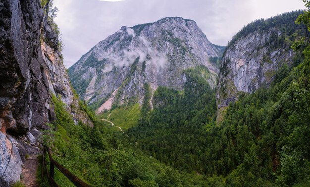 herrliche Aussicht auf die Alpen