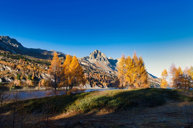 Herrliche Herbstlandschaft im Engadin bei Sankt Moritz. Schweizer Alpen