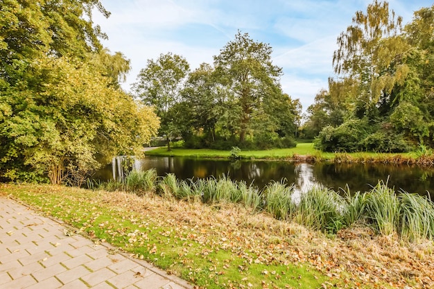 Herrliche Landschaft mit Rasen