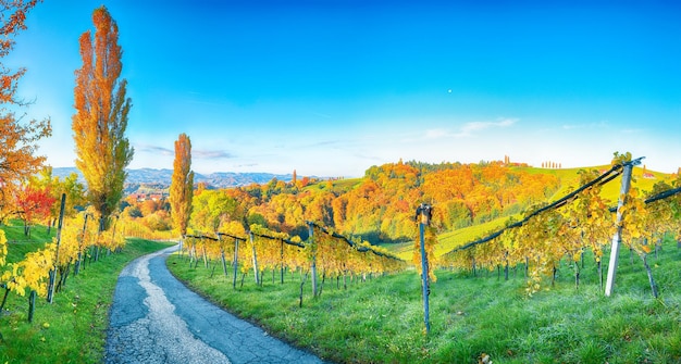 Herrliche Weinlandschaft in der Südsteiermark bei Gamlitz