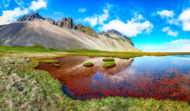 Foto herrlicher sonniger tag und wunderschöne wiese in der nähe des berges vestrahorn am kap stokksnes in island