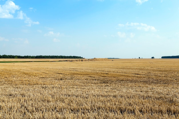 Herstellung von landwirtschaftlichen Erzeugnissen