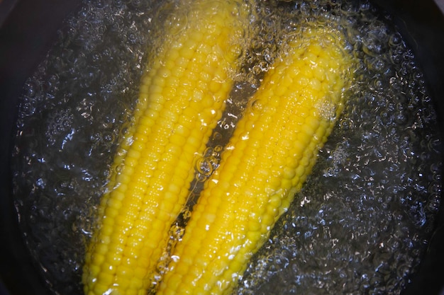 Hervir maíz en agua hirviendo en la sartén