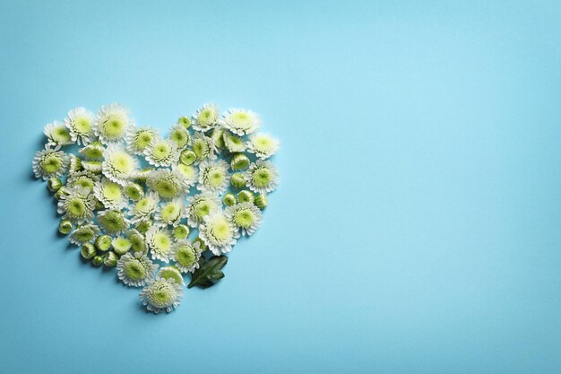 Herz aus Blumen auf farbigem Hintergrund