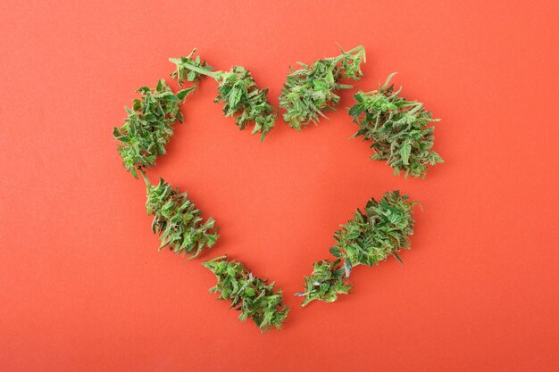 Herz aus Cannabisknospen Symbol der Liebe