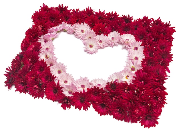 Herz aus Chrysanthemenblüten isoliert auf weißem Hintergrund. Platz für Text. Karte für den Feiertag Valentinstag. Liebe