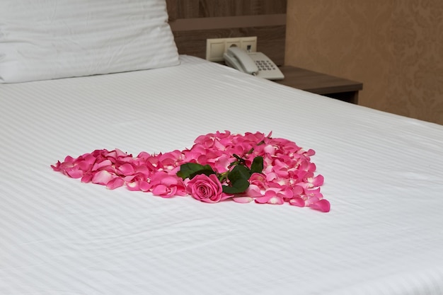 Herz aus rosafarbenen Rosenblättern auf weißem Bett im Hotelzimmer mit einer einzelnen Rose an der Spitze