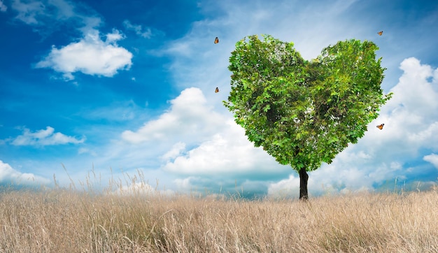 Herz-Baum-Liebe für Natur-Landschaft