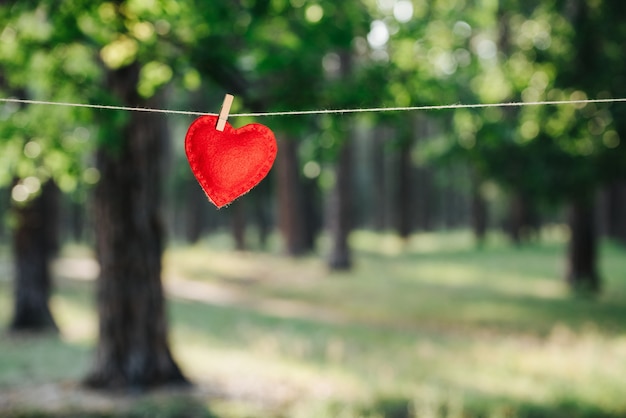 Herz hängt an Wäscheleine. Liebe und Valentinstag Konzept