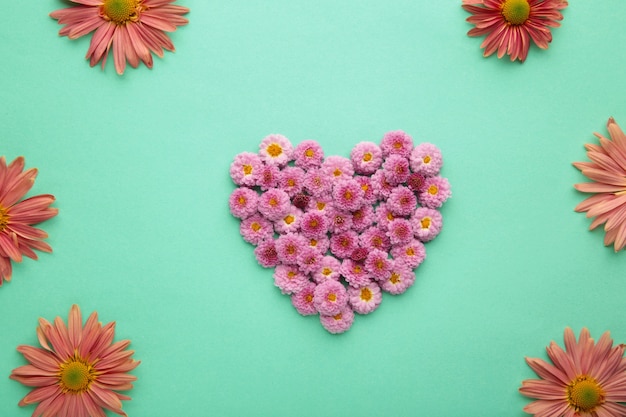 Herz mit Blumen auf tadellosem Hintergrund. Ansicht von oben