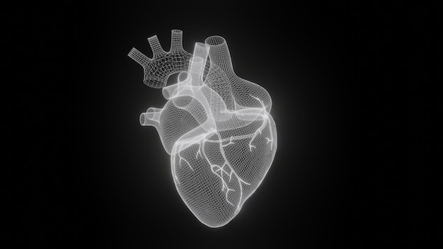 Herzen 3D wireframe machen lokalisiert