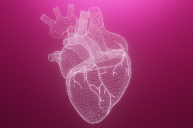 Herzen 3D wireframe machen lokalisiert