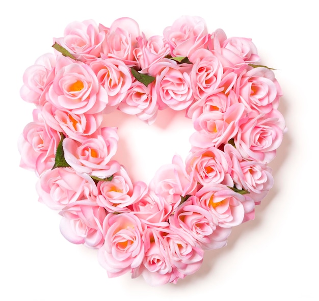 Herzförmige rosa Rose auf Weiß