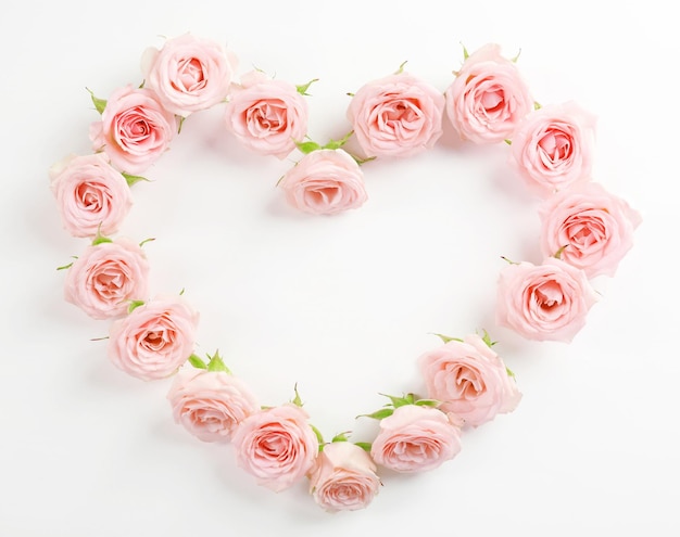 Herzförmige Rosen auf weißem Hintergrund