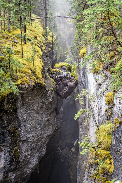 Herzförmige Steine mitten im Maligne Canyon im Jasper National Park, Kanada