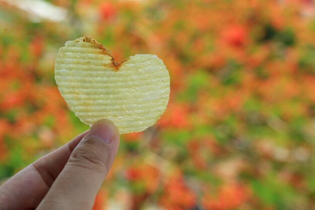 Herzförmiger Kartoffelchip in Frauenhand mit bunten Blättern im Herbst Essen und Valentinstag