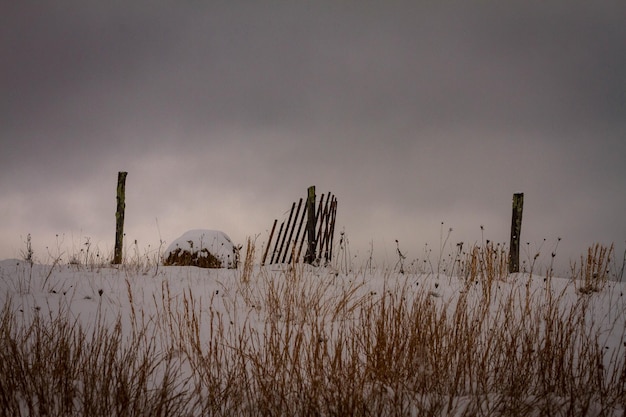 Foto heu auf dem feld gegen den himmel im winter