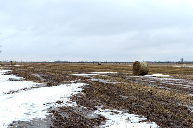 Heu rollen auf einem schneebedeckten Feld