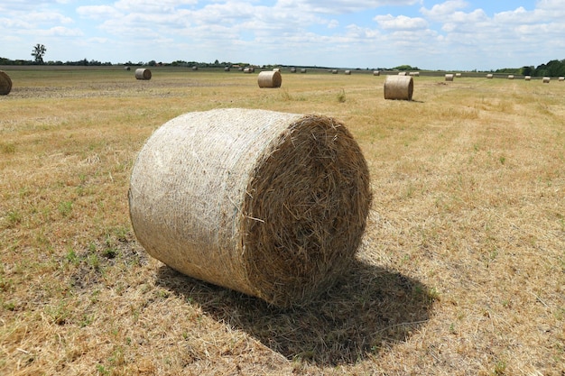 Heubalen auf einem Bauernhof an einem sonnigen Tag