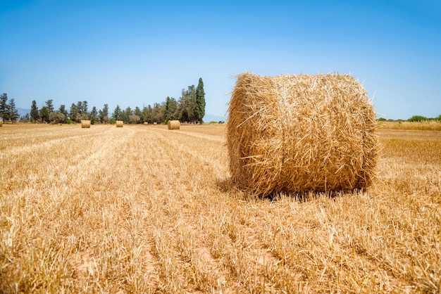 Heuballen am Sommertag