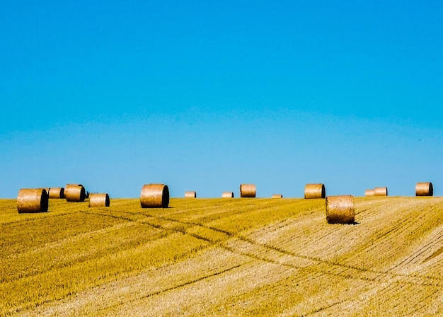 Foto heuballen auf dem feld gegen den blauen himmel