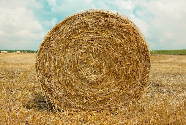 Foto heuballen auf dem feld gegen den himmel