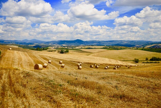 Foto heuballen auf dem feld gegen den himmel