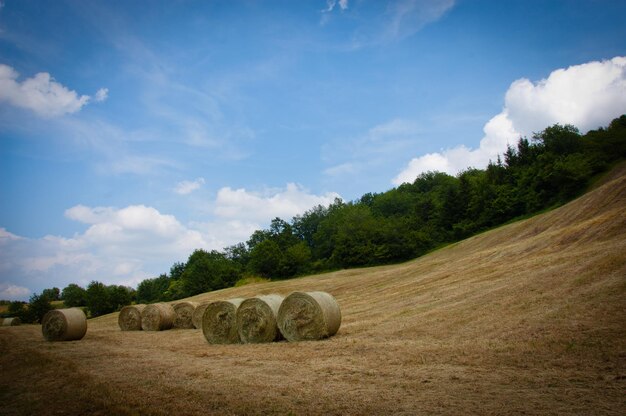 Foto heuballen auf dem feld gegen den himmel