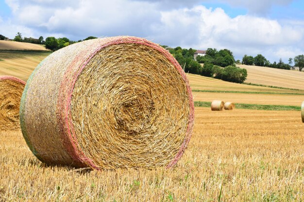 Foto heuballen auf dem feld gegen den himmel