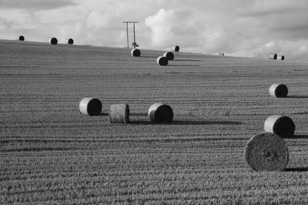 Foto heuballen auf dem feld gegen den himmel