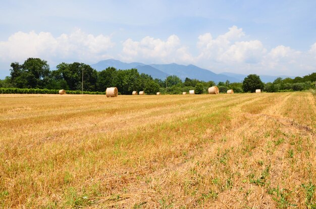 Foto heuballen auf dem feld gegen den himmel