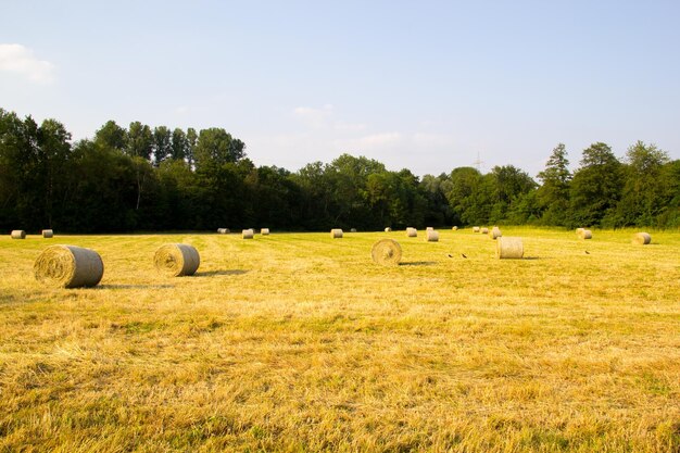 Foto heuballen auf dem feld gegen den himmel